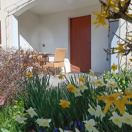 Apartment En Rez-de-chaussee Avec Vues Sur Les Montagnes *